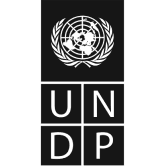 UNDP logo